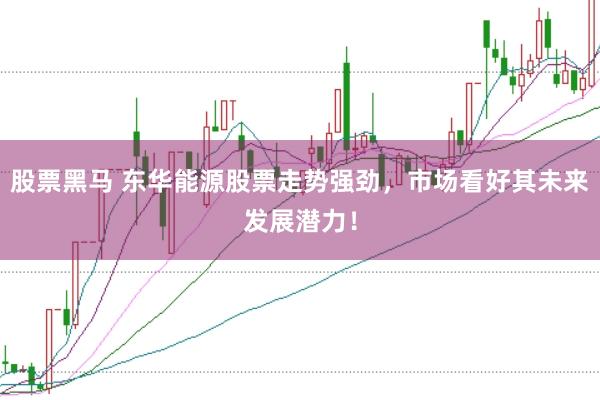 股票黑马 东华能源股票走势强劲，市场看好其未来发展潜力！