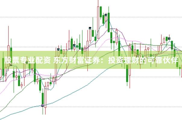 股票专业配资 东方财富证券：投资理财的可靠伙伴