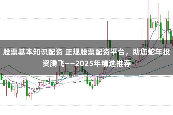 股票基本知识配资 正规股票配资平台，助您蛇年投资腾飞——2025年精选推荐