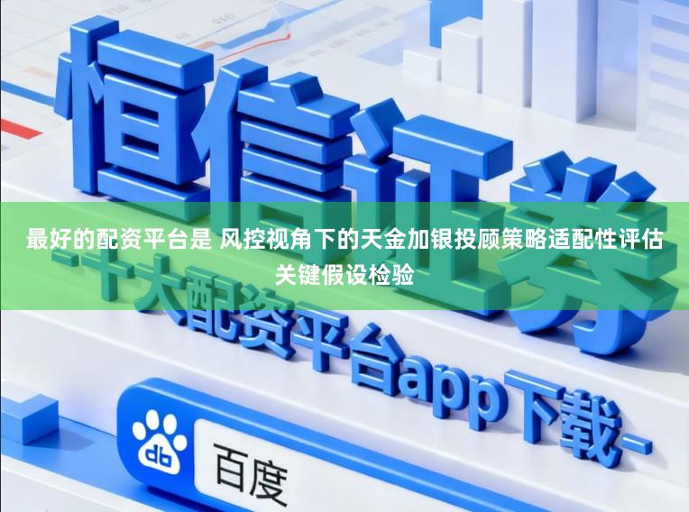 最好的配资平台是 风控视角下的天金加银投顾策略适配性评估关键假设检验