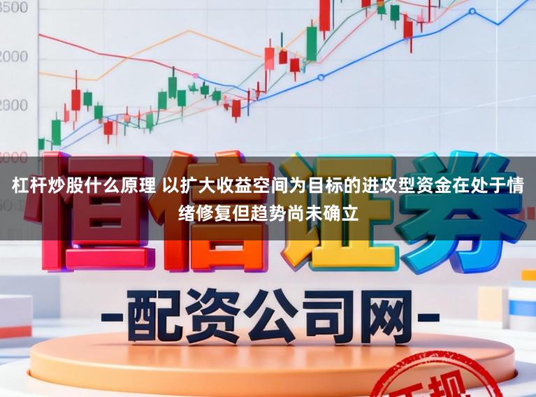 杠杆炒股什么原理 以扩大收益空间为目标的进攻型资金在处于情绪修复但趋势尚未确立