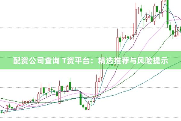 配资公司查询 T资平台：精选推荐与风险提示